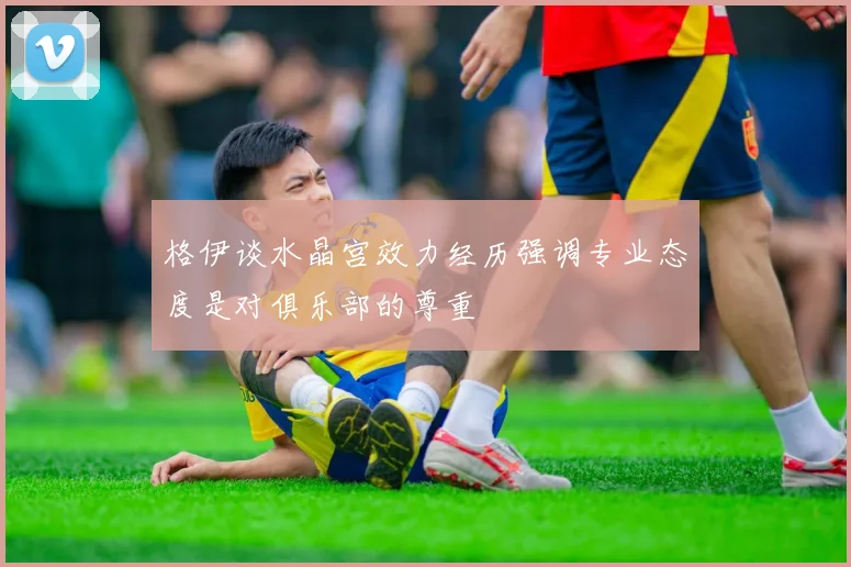 格伊谈水晶宫效力经历强调专业态度是对俱乐部的尊重